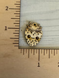Fruits