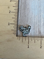 Animal skeletons