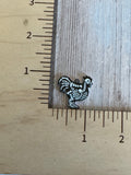 Animal skeletons