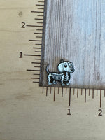 Animal skeletons