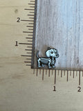 Animal skeletons
