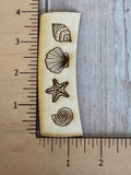 Sea shell Claw Clip and earring