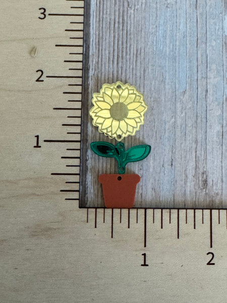 Sunflower in pot