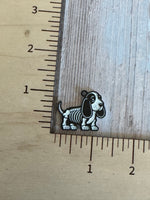 Animal skeletons