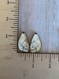 Cat with books Claw Clip and earrings