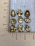 Fall Collection chib