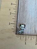 Animal skeletons