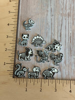 Animal skeletons