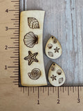 Sea shell Claw Clip and earring