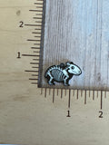 Animal skeletons