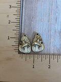 October Pumpkin Claw Clip and earring