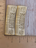 America 250 Claw Clip and earrings
