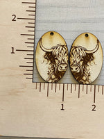 Highland Cow